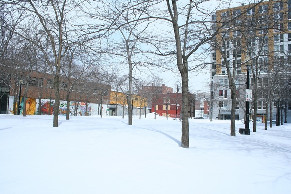 neige vieux montreal mars 2008 IMG 3818