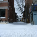 neige vieux montreal mars 2008 IMG 3865