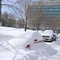 neige vieux montreal mars 2008 IMG 3937