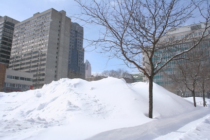 neige vieux montreal mars 2008 IMG 3940